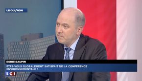 Denis Baupin sur LCI