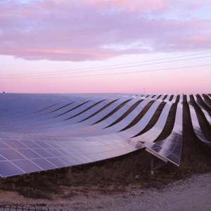 Panneaux photovoltaïques au coucher du soleil, commune des Mées (Alpes-de-Haute-Provence, France)